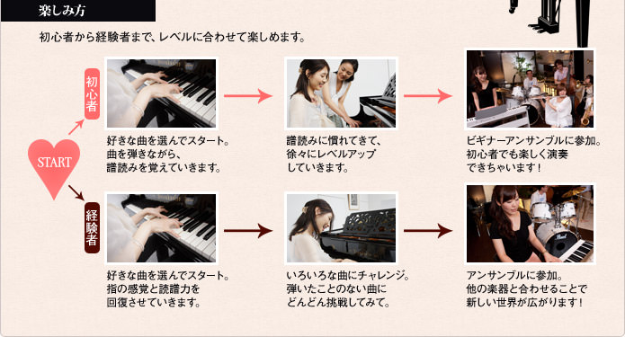 楽しみ方