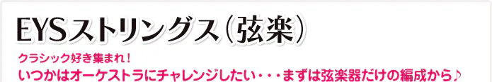 EYSストリングス（弦楽）クラシック好き集まれ！いつかはオーケストラにチャレンジしたい・・・まずは弦楽器だけの編成から♪