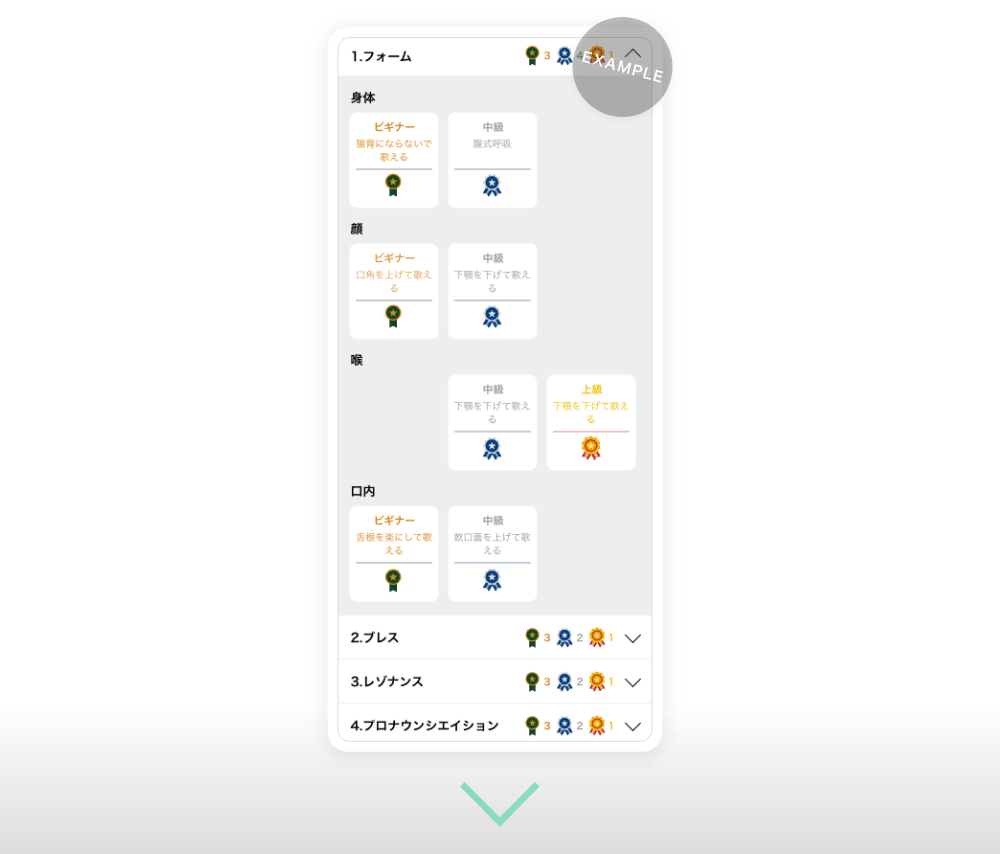 1.フォーム：身体、ビギナー、猫背にならないで歌える、中級、腹式呼吸。顔、ビギナー、口角を上げて歌える、中級、下顎を下げて歌える。喉、中級、下顎を下げて歌える、上級、上顎を下げて歌える、口内、ビギナー、舌根を楽にして歌える、中級、飲口蓋を上げて歌える。2.ブレス。3.レゾナンス。4.プロナウンシエイション