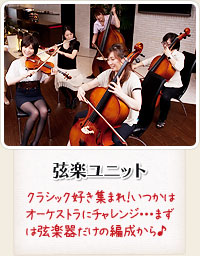 弦楽ユニット