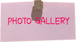 Photo Gallery