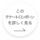 このトロンボーンをもっと詳しくみる