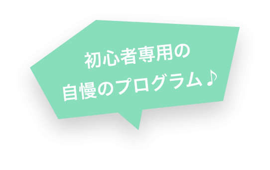 初心者専用の自慢のプログラム