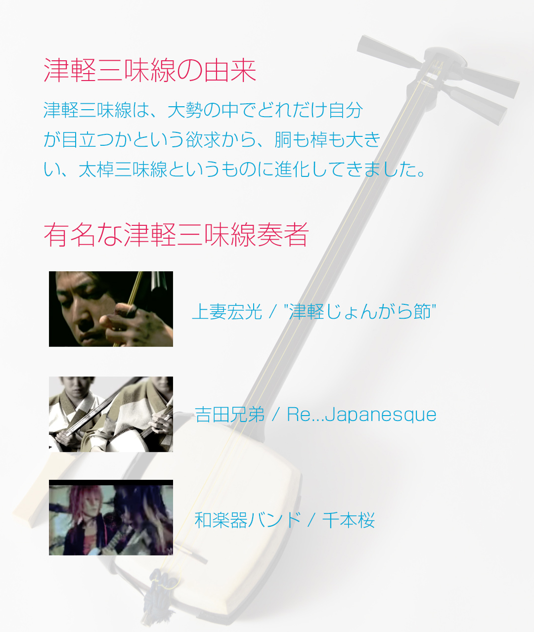 筑前琵琶・薩摩琵琶 正絹 絃 力強い 1の絃から5の絃セット