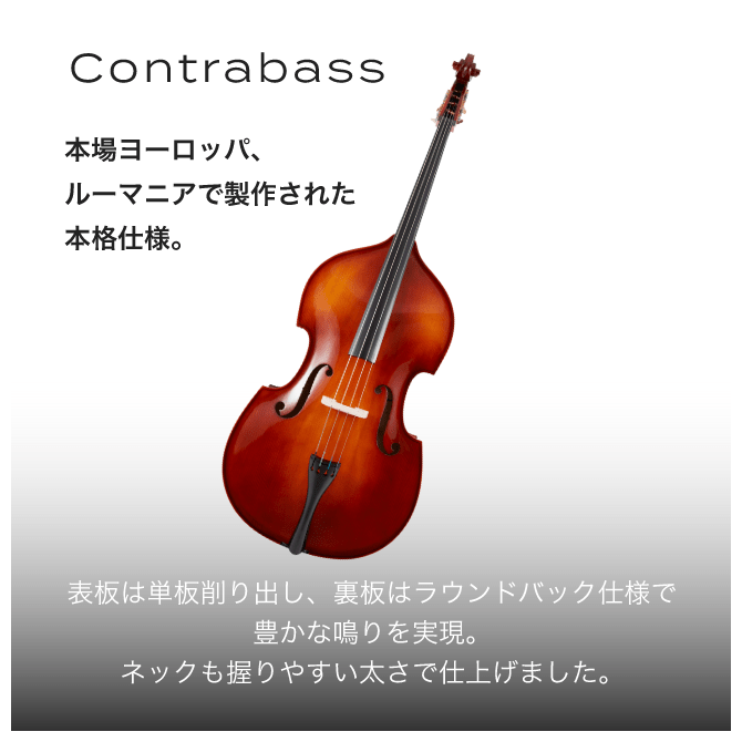 contrabass 本場ヨーロッパ、ルーマニアで製作された本格仕様。