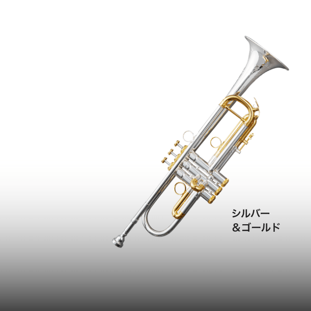 豊かで伸びやかな音色、個性あふれる3タイプのバイカラー