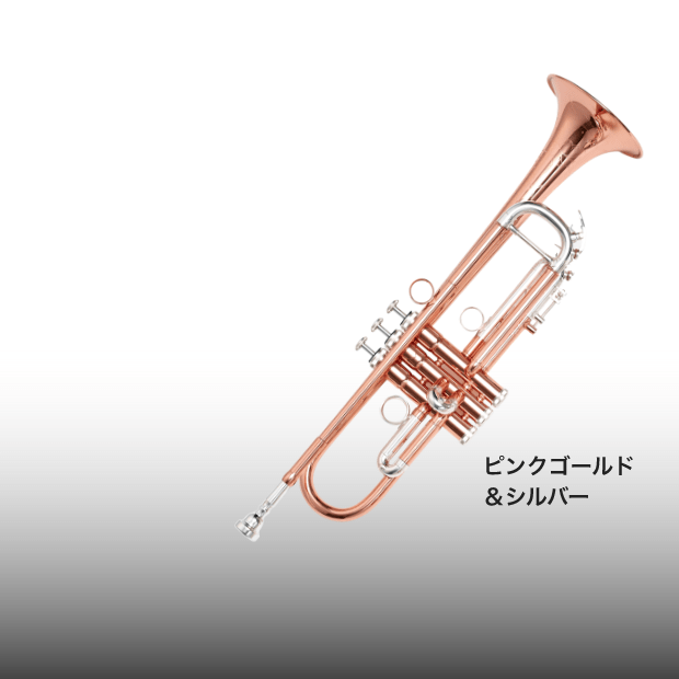 豊かで伸びやかな音色、個性あふれる3タイプのバイカラー