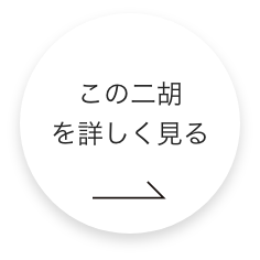 この二胡 をもっと詳しく見る