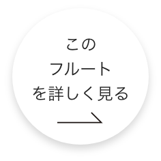 このフルートをもっと詳しくみる